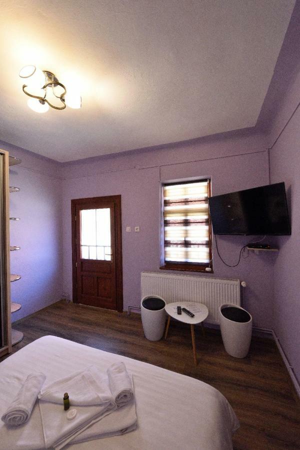 Hotel Casa Optim à Călimăneşti Extérieur photo