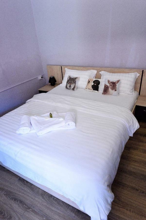Hotel Casa Optim à Călimăneşti Extérieur photo
